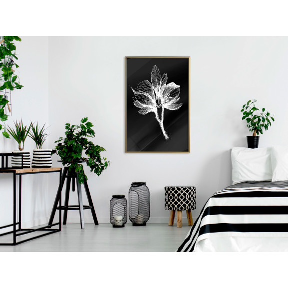 Poster White Plant