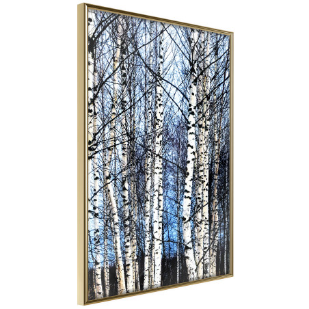 Poster Winter Birch Trees-01