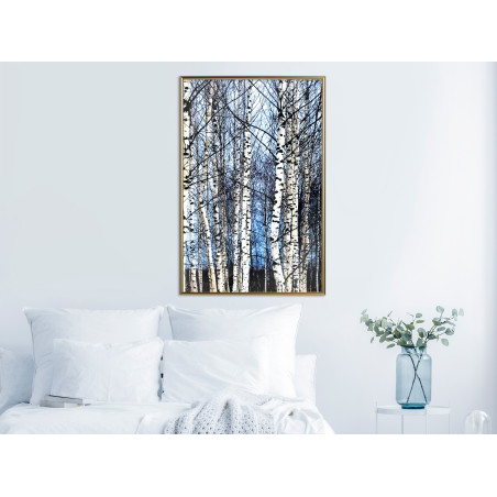 Poster Winter Birch Trees-01