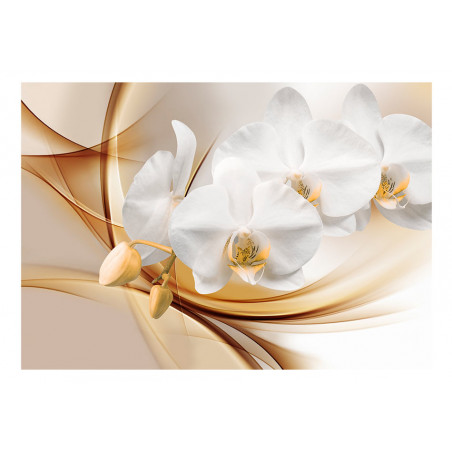 Fototapet Orchid Blossom-01