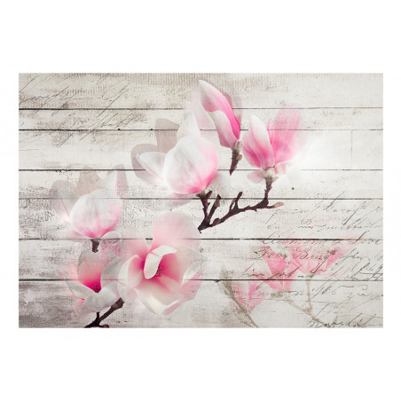 Fototapet Gentleness Of The Magnolia-01