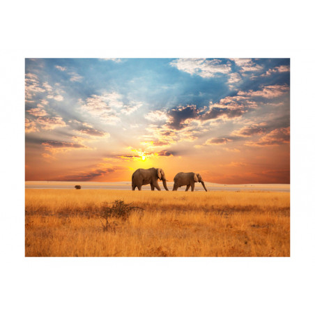 Fototapet African Savanna Elephants-01