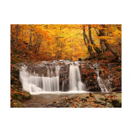 Fototapet Autumn Landscape : Waterfall In Forest-01