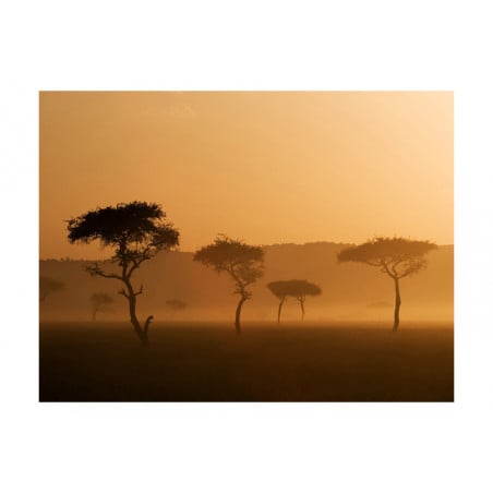 Fototapet Massai Mara-01