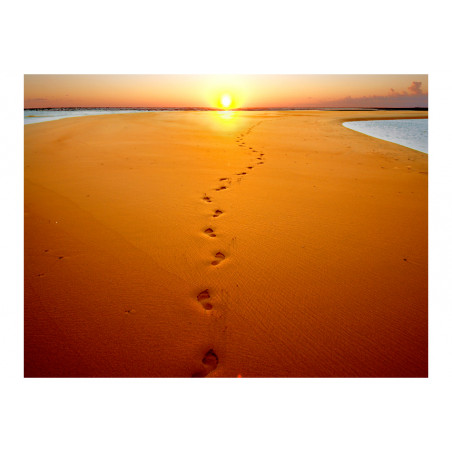 Fototapet Footprints In The Sand-01
