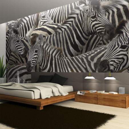 Fototapet Herd Of Zebras-01