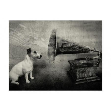 Fototapet Dog'S Melodies-01