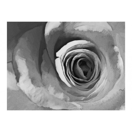 Fototapet Paper Rose-01