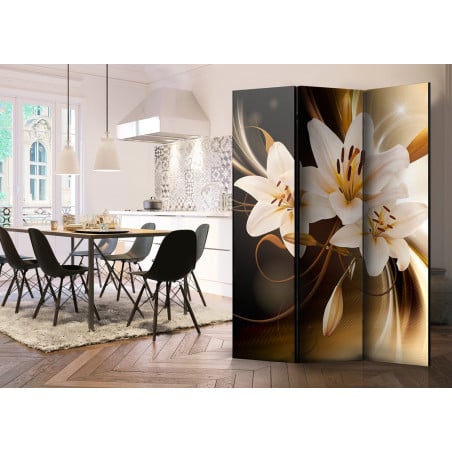 Paravan Circle Of Light [Room Dividers] 135 cm x 172 cm-01