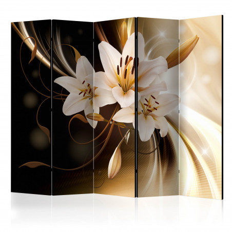 Paravan Circle Of Light Ii [Room Dividers] 225 cm x 172 cm-01