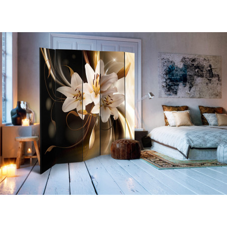 Paravan Circle Of Light Ii [Room Dividers] 225 cm x 172 cm-01