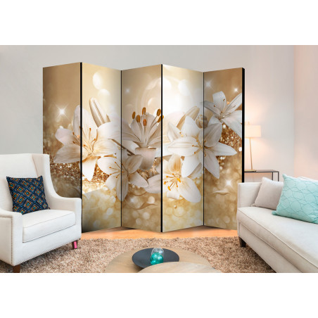 Paravan Royal Entourage Ii [Room Dividers] 225 cm x 172 cm-01