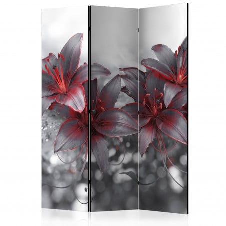 Paravan Shadow Of Passion [Room Dividers] 135 cm x 172 cm-01