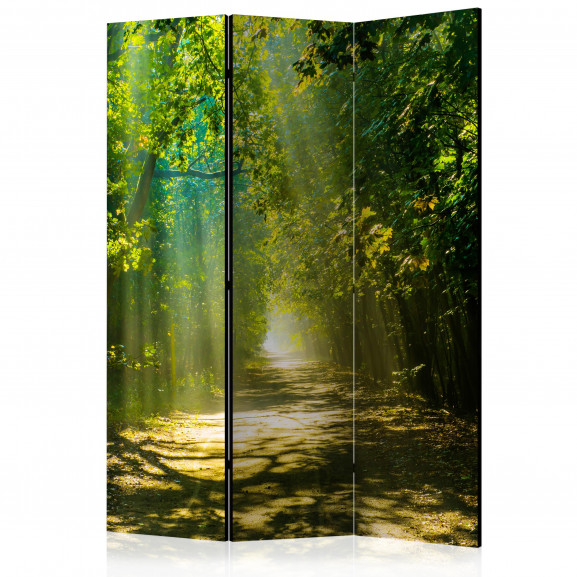 Paravan Road In Sunlight [Room Dividers] 135 cm x 172 cm