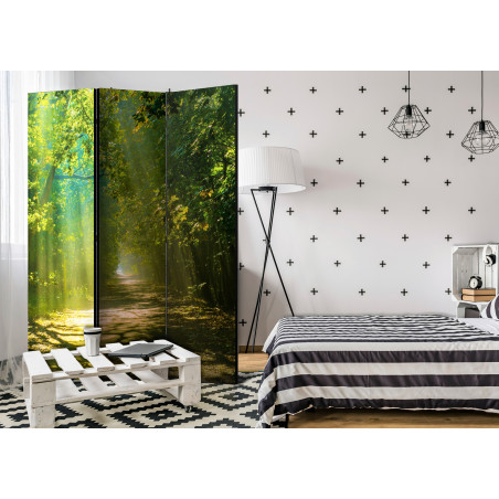 Paravan Road In Sunlight [Room Dividers] 135 cm x 172 cm-01