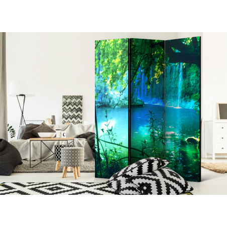 Paravan Kursunlu Waterfalls [Room Dividers] 135 cm x 172 cm-01