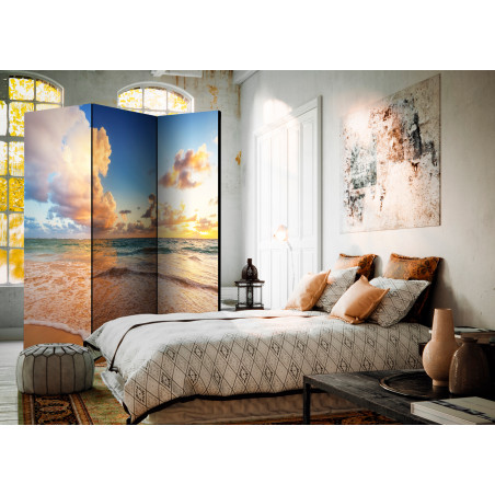 Paravan Morning By The Sea [Room Dividers] 135 cm x 172 cm-01