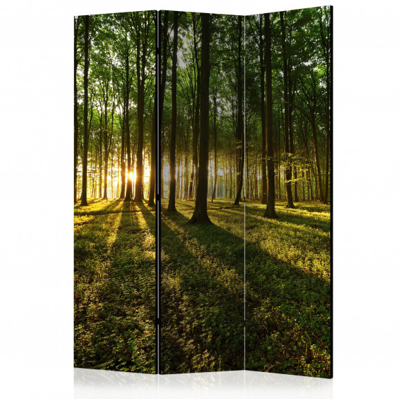 Paravan Morning In The Forest [Room Dividers] 135 cm x 172 cm