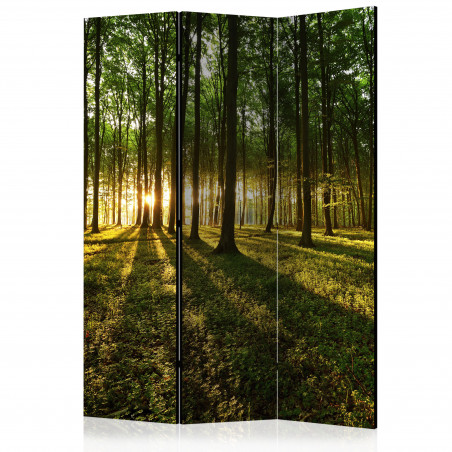 Paravan Morning In The Forest [Room Dividers] 135 cm x 172 cm-01