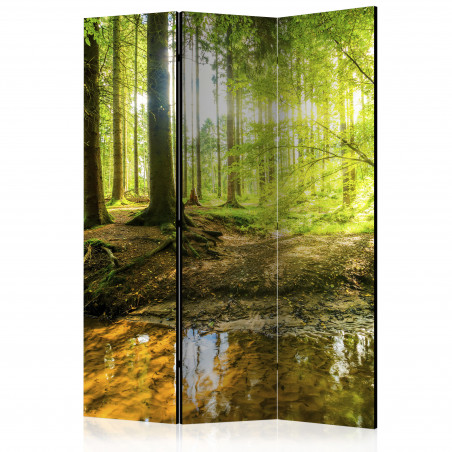 Paravan Forest Lake [Room Dividers] 135 cm x 172 cm-01