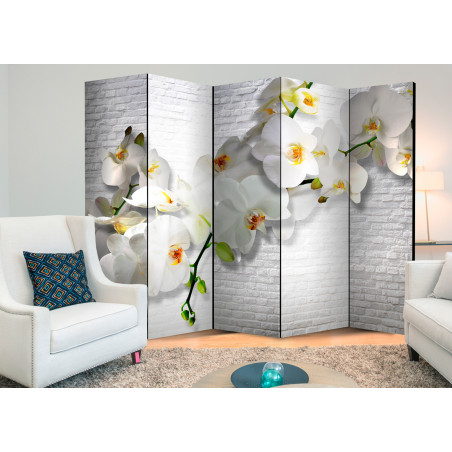 Paravan The Urban Orchid Ii [Room Dividers] 225 cm x 172 cm-01