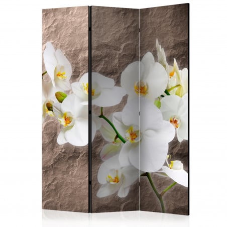 Paravan Impeccability Of The Orchid [Room Dividers] 135 cm x 172 cm-01