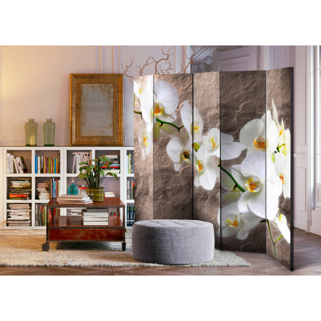 Paravan Impeccability Of The Orchid Ii [Room Dividers] 225 cm x 172 cm-01