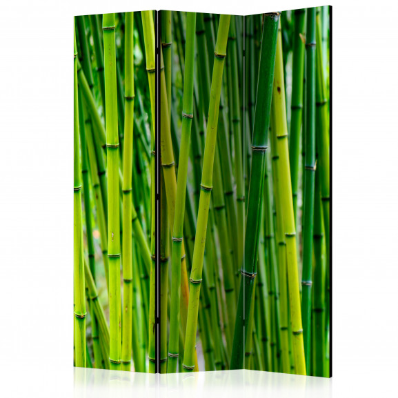 Paravan Bamboo Forest [Room Dividers] 135 cm x 172 cm