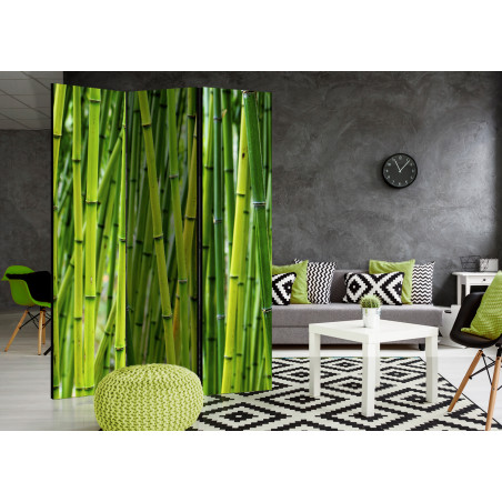 Paravan Bamboo Forest [Room Dividers] 135 cm x 172 cm-01