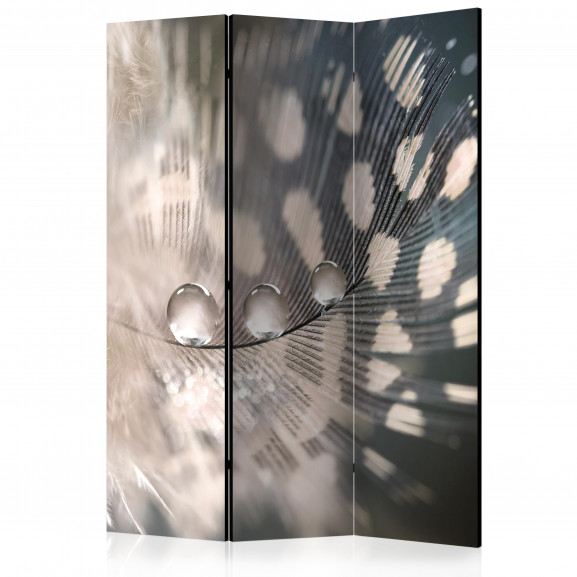 Paravan Elegant Feather [Room Dividers] 135 cm x 172 cm