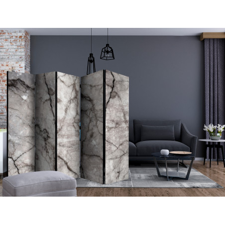 Paravan Grey Marble Ii [Room Dividers] 225 cm x 172 cm-01