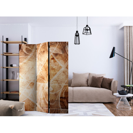 Paravan Brown Texture [Room Dividers] 135 cm x 172 cm-01