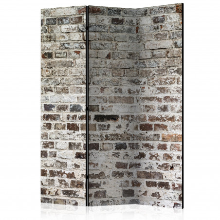 Paravan Walls Of Time [Room Dividers] 135 cm x 172 cm-01