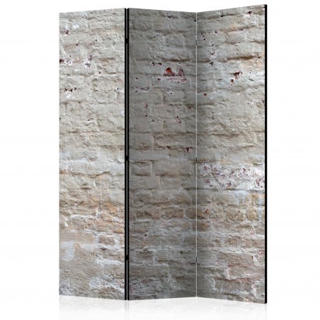 Paravan Hidden Harmony [Room Dividers] 135 cm x 172 cm-01