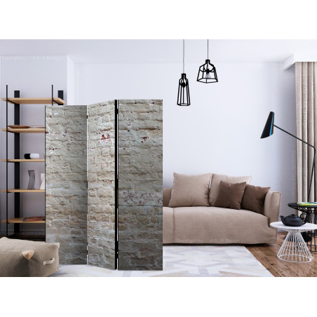 Paravan Hidden Harmony [Room Dividers] 135 cm x 172 cm-01