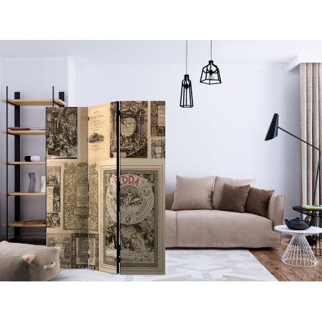 Paravan Vintage Books [Room Dividers] 135 cm x 172 cm-01