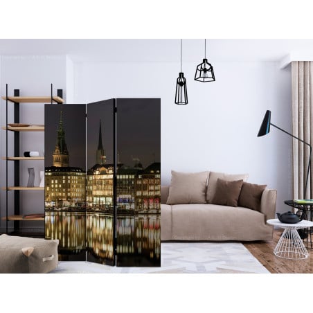 Paravan Night In Hamburg [Room Dividers] 135 cm x 172 cm-01