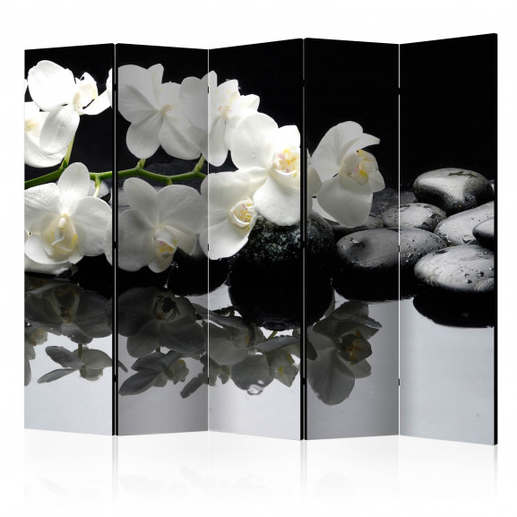 Paravan Spa, Stones And Orchid Ii [Room Dividers] 225 cm x 172 cm