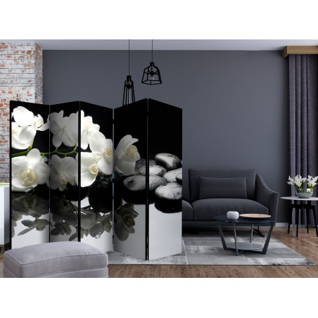 Paravan Spa, Stones And Orchid Ii [Room Dividers] 225 cm x 172 cm-01