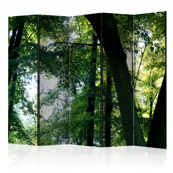 Paravan Spring In The Park Ii [Room Dividers] 225 cm x 172 cm