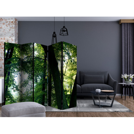 Paravan Spring In The Park Ii [Room Dividers] 225 cm x 172 cm-01