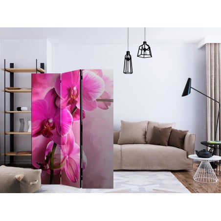 Paravan Pink Orchid [Room Dividers] 135 cm x 172 cm-01