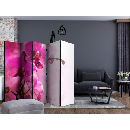 Paravan Pink Orchid Ii [Room Dividers] 225 cm x 172 cm-01