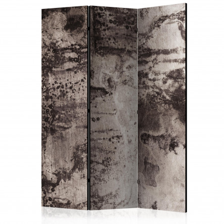 Paravan Old Metal [Room Dividers] 135 cm x 172 cm-01