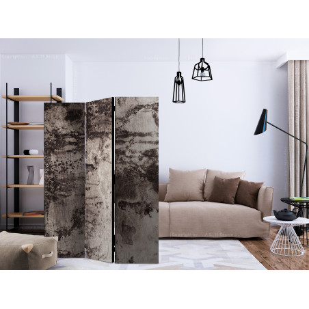 Paravan Old Metal [Room Dividers] 135 cm x 172 cm-01