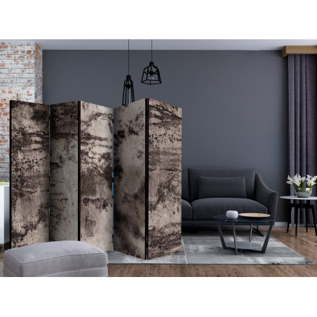 Paravan Old Metal Ii [Room Dividers] 225 cm x 172 cm-01