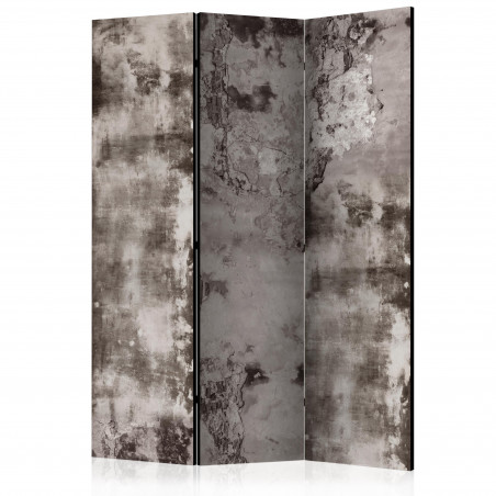 Paravan Old Plaster [Room Dividers] 135 cm x 172 cm-01