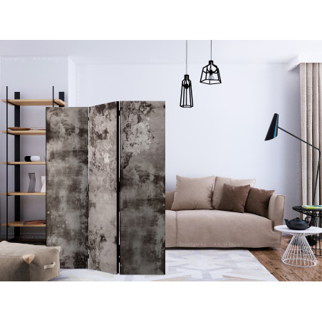 Paravan Old Plaster [Room Dividers] 135 cm x 172 cm-01