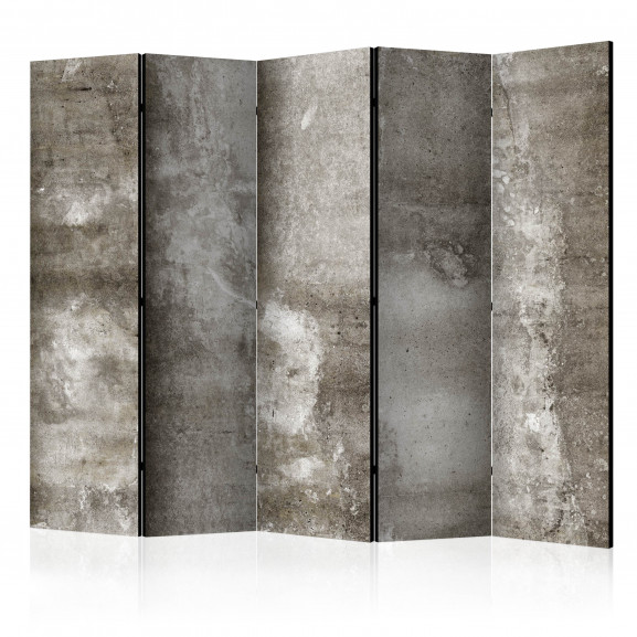 Paravan Cold Concrete Ii [Room Dividers] 225 cm x 172 cm