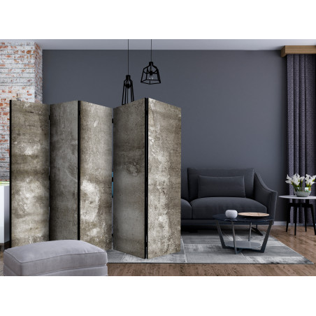 Paravan Cold Concrete Ii [Room Dividers] 225 cm x 172 cm-01